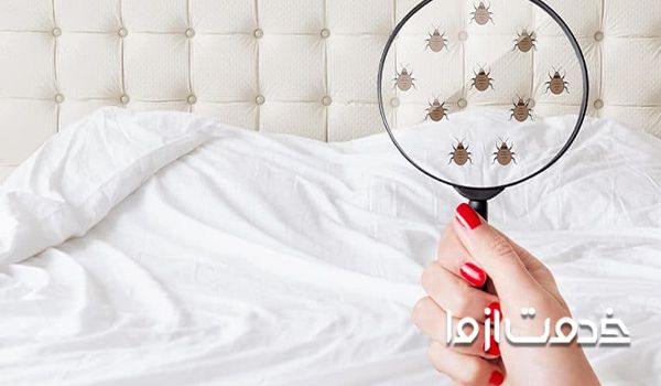 کار مهم قبل از بین بردن ساس